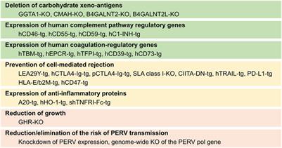 What Genetic Modifications of Source Pigs Are Essential and Sufficient for Cell, Tissue, and Organ Xenotransplantation?